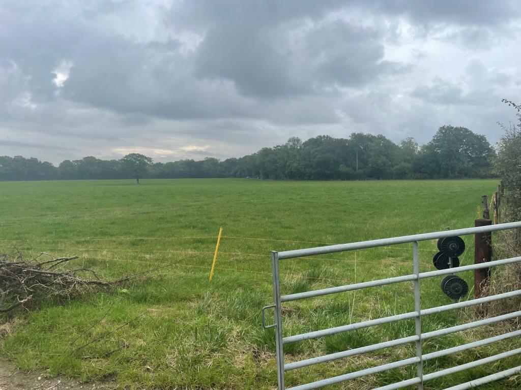 Lot: 94 - JUST OVER 33 ACRES OF FARMLAND IN STRATEGIC LOCATION - TO BE OFFERED FOR SALE BY PUBLIC AUCTION ON FRIDAY, 25TH OCTOBER 2024 - Southerly view of land from gated access